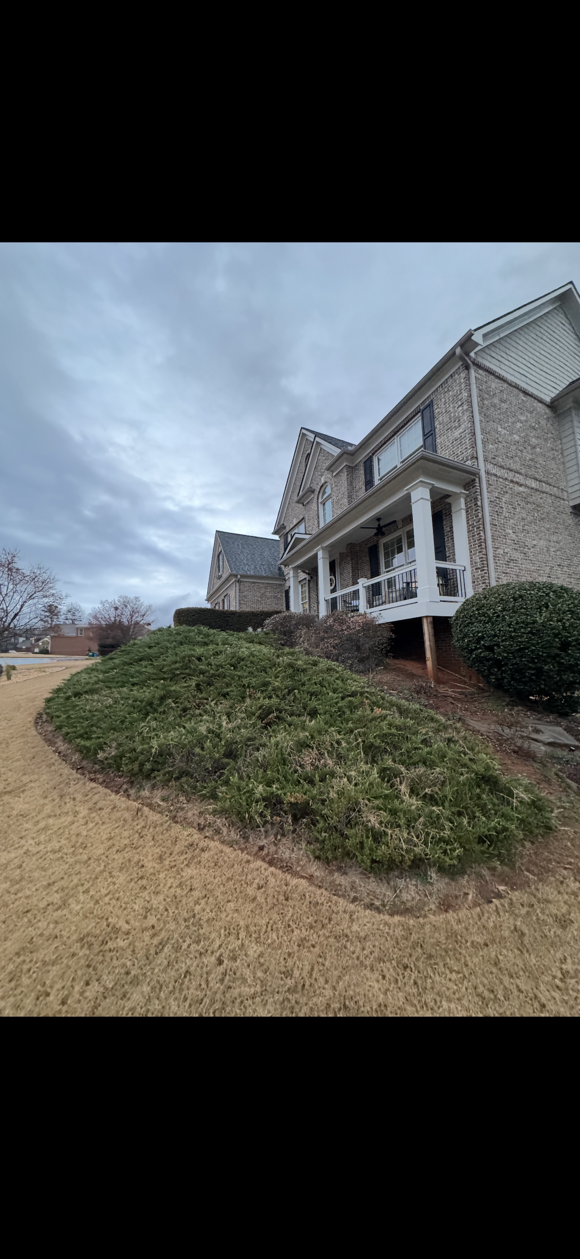 Pulse Landscaping before — second property with dead grass and overgrown shrubs
